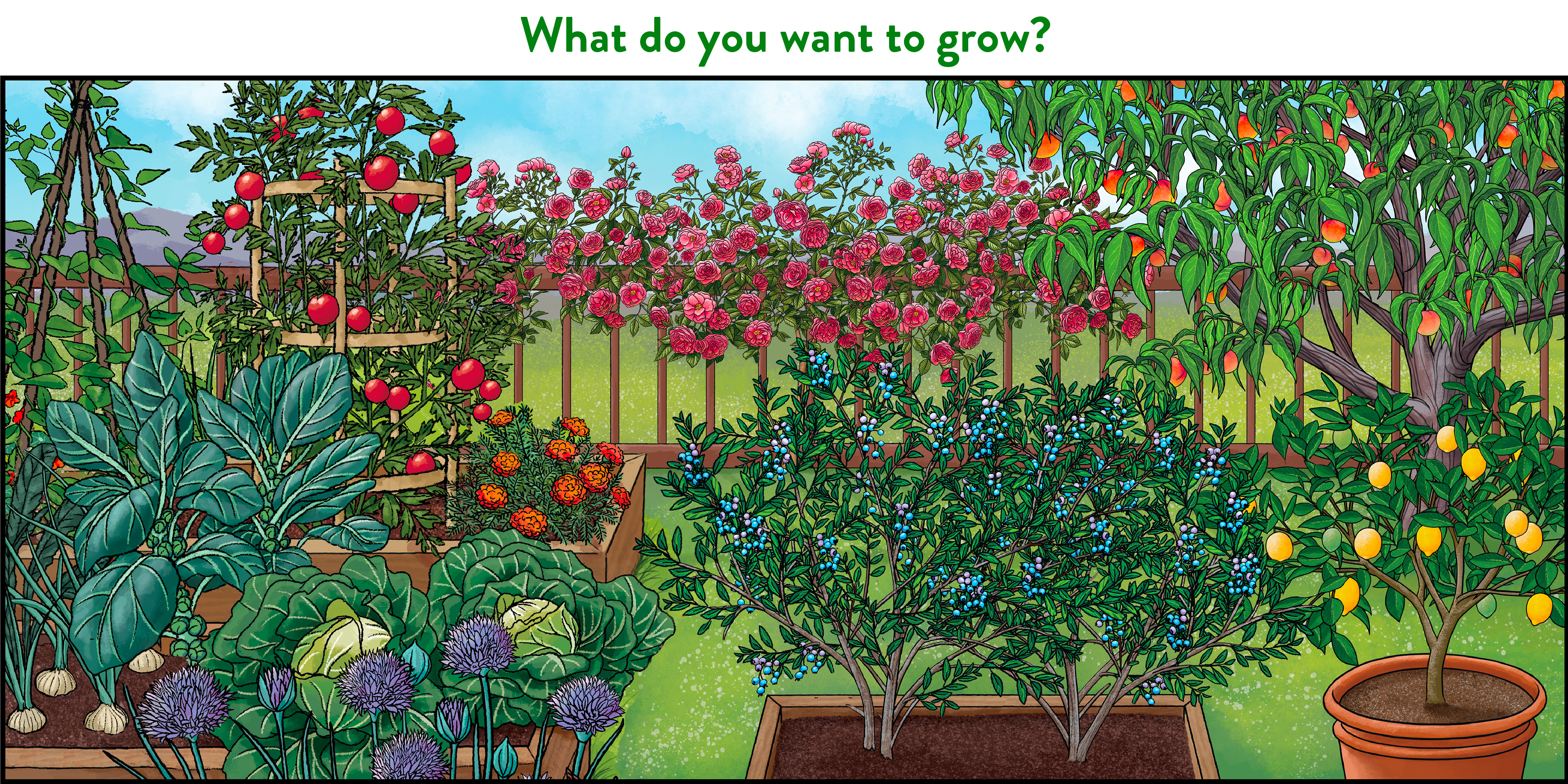Pure Power For Your Soil